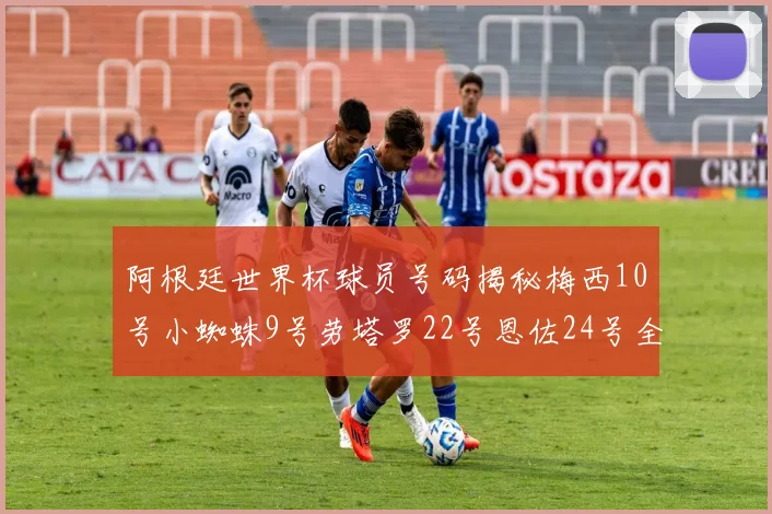 阿根廷世界杯球员号码揭秘梅西10号小蜘蛛9号劳塔罗22号恩佐24号全解析